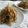 カヌレ３１４'s cooksnap of when they made 豚バラ肉とこんにゃくと牛蒡うま味炒め.