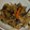 ｂｕｂｕ30's cooksnap of when they made うまうま切干し大根の煮付け。.