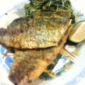 マKIKI's cooksnap of when they made 鯵のカレー風味ソテー.