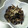 ぴいちゃママ's cooksnap of when they made きくらげの常備菜.