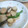ケロのん's cooksnap of when they made ホタテとエリンギの柚子胡椒炒め*.