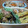 りぇぞー's cooksnap of when they made とろとろ☆ナスとシシトウの煮物.