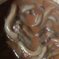 お米ママ's cooksnap of when they made イカの塩辛.