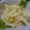 のすけのすけ's cooksnap of when they made 玉ねぎの味噌炒め.