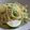 ピンクのたまご's cooksnap of when they made ✿れもんパスタ✿.