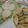 akiberry's cooksnap of when they made 手作り餃子の皮　.