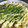 ryouko*nao's cooksnap of when they made 卵焼き？お好み焼？焼きそば？その実態は！.