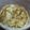 lecker★'s cooksnap of when they made 風邪に♪発熱に♪はちみつ生姜シロップ.