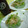 myukitty's cooksnap of when they made きゅうり寒天☆納豆のタレ使用.