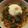ｍａｒしゃん's cooksnap of when they made ビビンククス.