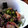 はひふへほらほら's cooksnap of when they made アジ刺しヅケ丼・アジのさばき方.