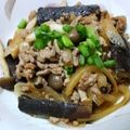 のちぞう's cooksnap of when they made ピリ辛クセになる！ナスと挽肉の生姜炒め♪.