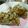 さおぴーや☆'s cooksnap of when they made 簡単・米粉黒ゴマクッキー.