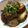 レオン犬's cooksnap of when they made 茹でなすのうまみ肉味噌風和え。.