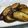 ピンクのたまご's cooksnap of when they made フライパンで焼き茄子.