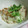 ＴＯＭＯＷＡＴ's cooksnap of when they made 味ポンと柚子胡椒でいただく おろし納豆.
