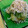 せつぶんひじき's cooksnap of when they made シャキシャキきゅうりのおろしあえ.