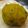 そひょん's cooksnap of when they made コロコロシナモンかぼちゃ.
