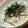 ゆうかりコアラ's cooksnap of when they made ササっと一品✿山芋千切り　たらこ和え✿.