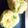 ＋ひこむら＋'s cooksnap of when they made 卵の巾着☆お弁当に^-^.