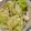 ヨシヨッシー's cooksnap of when they made 包丁不要！旨だれキャベツと海苔ナムル.