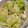 ヨシヨッシー's cooksnap of when they made 包丁不要！旨だれキャベツと海苔ナムル.