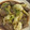 seesaa♪'s cooksnap of when they made ■旨い！牛肉とキャベツのスタミナ炒め■.