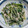 料理父さん's cooksnap of when they made つるむらさきのツナマヨネーズ和え。.