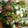 やつーこ's cooksnap of when they made 豆腐と海藻の柚子胡椒和え.