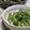 ピンクのたまご's cooksnap of when they made ゴーヤーの胡麻おかか和え.
