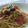 レアレアチーズ's cooksnap of when they made いろいろきのことベーコンのパスタ.