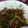 クレちゃん's cooksnap of when they made 安いっ！もやしのさっぱり炒め♪.