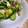 salymama's cooksnap of when they made 胡瓜とﾌﾞﾛｯｺﾘｰの卵和えｻﾗﾀﾞ.