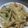 gureennico's cooksnap of when they made アンチョビ☆ポテトグラタン.