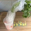 まこさんど's cooksnap of when they made 三つ葉の保存方法.