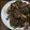 麻's cooksnap of when they made ビタミン効果♪ピーマンと牛肉の甘辛炒め.