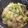 クックRPMPK0☆'s cooksnap of when they made 話題入＊水不要ほぼ放置で白菜とツナの煮物.