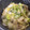クックRPMPK0☆'s cooksnap of when they made 話題入＊水不要ほぼ放置で白菜とツナの煮物.