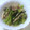 すいーぷりん's cooksnap of when they made ✿簡単♡セロリのクレソル炒め✿.