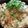 smzナオ's cooksnap of when they made 簡単＆ヘルシー！豆腐そぼろ丼♪.
