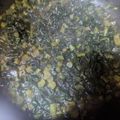 クック23YUYS☆'s cooksnap of when they made 大根葉の佃煮.