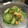紅葉ｙ's cooksnap of when they made きゅうりと鮭の酢橘和え.