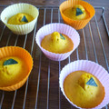 ひななちょこ's cooksnap of when they made やさしい甘さ☆簡単♪かぼちゃのぷちケーキ.