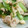 チョコラボ's cooksnap of when they made ふわふわ卵と青梗菜のオイスターソース炒め.