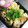 春小町's cooksnap of when they made 和風スクランブルエッグ★ちくわの卵とじ.