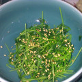 けんとのパパ's cooksnap of when they made とうみょうのナムル.