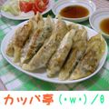 Ｄｉｖｅｒカッパさん's cooksnap of when they made もっちりジューシー！焼き餃子.