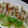 下町ＫＡＮＡＫＯ's cooksnap of when they made 【おろし豚肉エノキ巻き☆】.