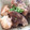 ごーあい's cooksnap of when they made 鰤と厚揚げの煮物.