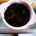 あねさん②'s cooksnap of when they made トミ③－の無添加手作りひじきふりかけ☆　.